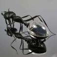 Solar Ant