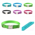 Nylon Dog Collar