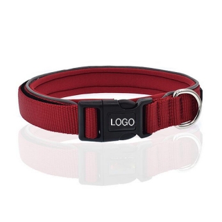 Nylon Dog Collar